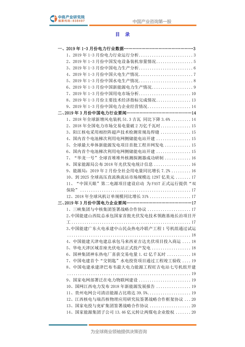 2019年3月中国电力行业高层投资决策参考.pdf_第3页