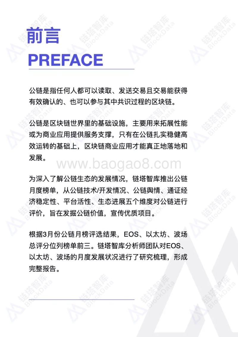 2019年3月公链发展状况研究报告.pdf_第3页
