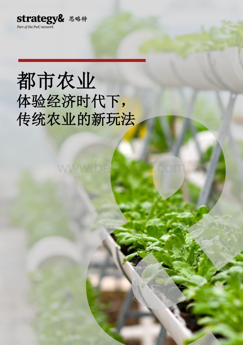都市农业：体验经济时代下，传统农业的新玩法.pdf_第1页