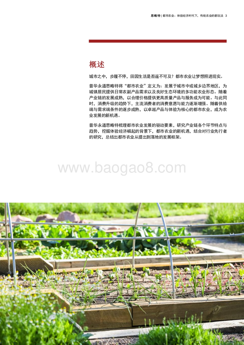 都市农业：体验经济时代下，传统农业的新玩法.pdf_第3页