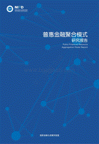 普惠金融聚合模式研究报告.pdf