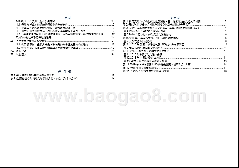 2019年天然气行业市场前景研究报告.pptx_第2页