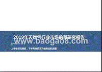 2019年天然气行业市场前景研究报告.pptx