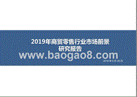 2019年商贸零售行业市场前景研究报告.pptx