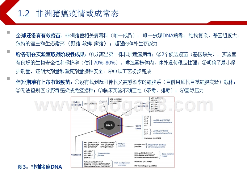 2019年下半年农林牧渔行业投资前景研究报告.pptx_第5页