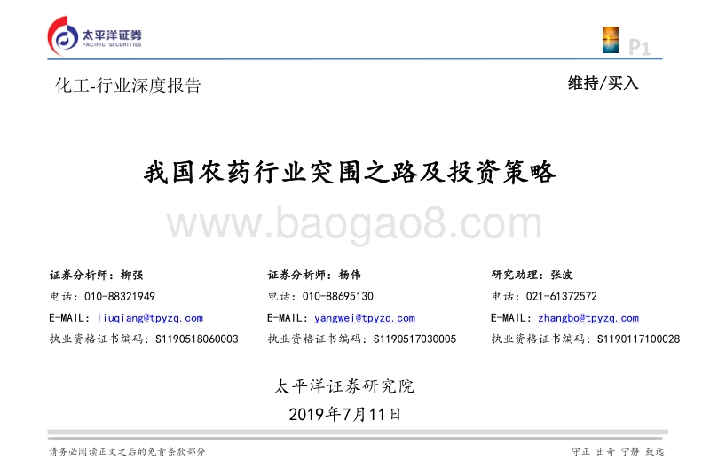 我国农药行业突围之路及投资策略.pdf_第1页