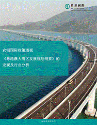 《粤港澳大湾区发展规划纲要》的宏观及行业分析.pdf