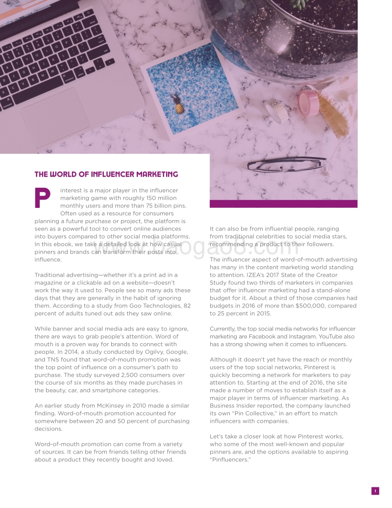 Pinterest影响者营销指南（英文版）.pdf_第2页
