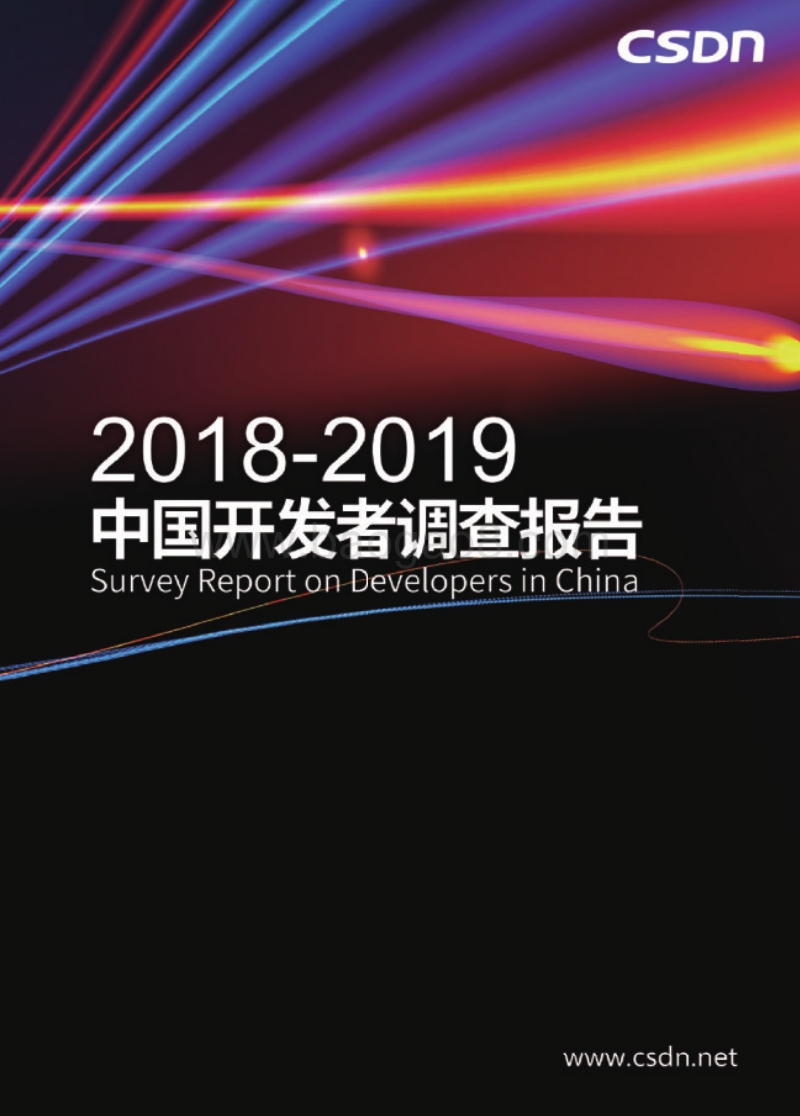 2018-2019中国开发者调查报告.pdf_第1页