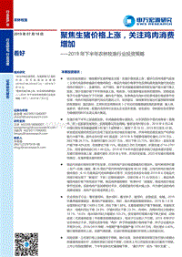 2019年下半年农林牧渔行业投资策略：聚焦生猪价格上涨，关注鸡肉消费增加.pdf