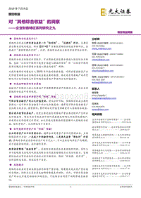 企业财务特征系列研究之九：对“其他综合收益”的洞察.pdf
