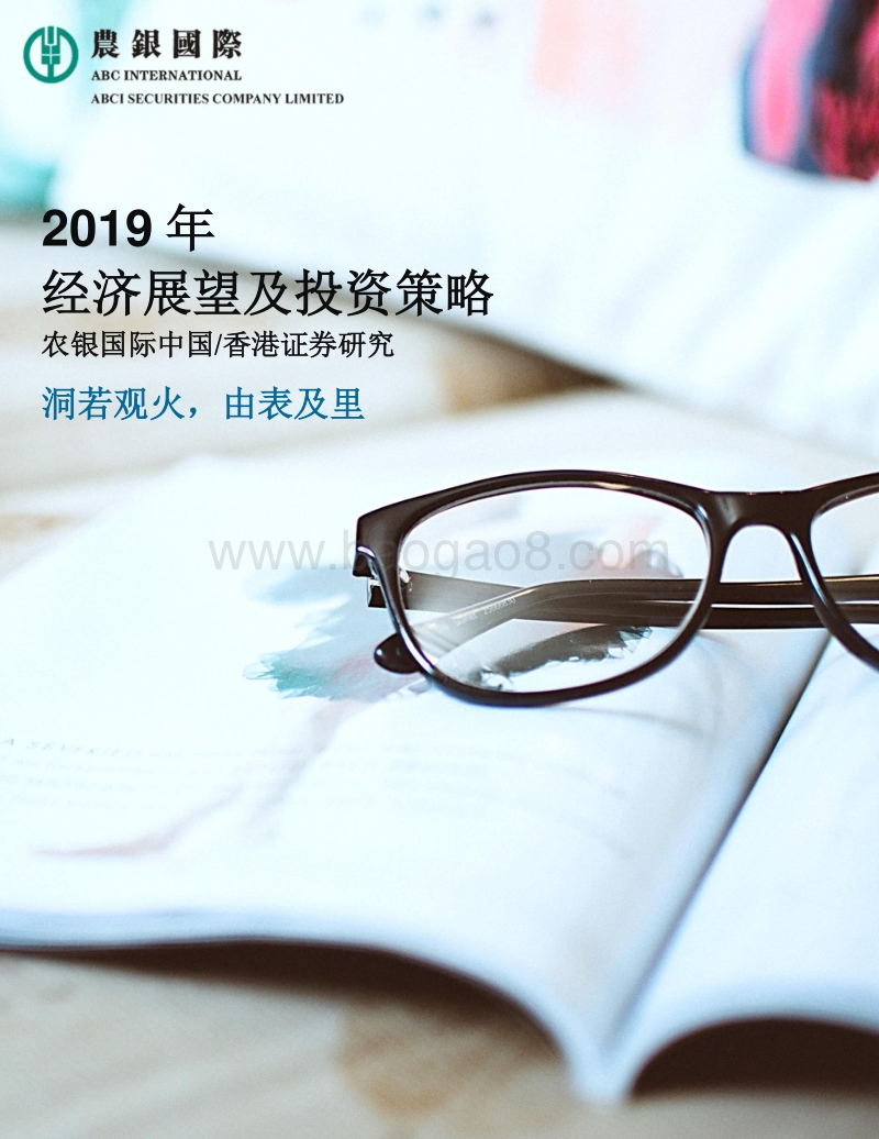 2019年经济展望及投资策略.pdf_第1页