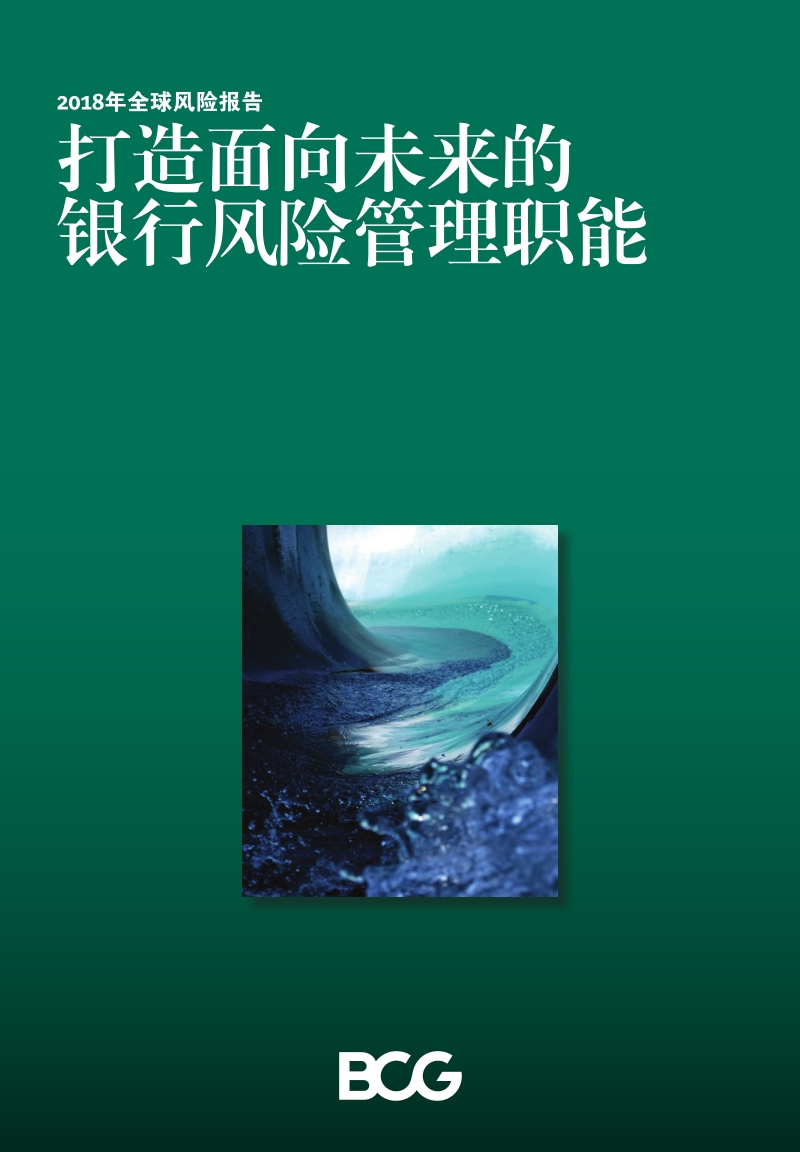 2018年全球风险报告.pdf_第1页