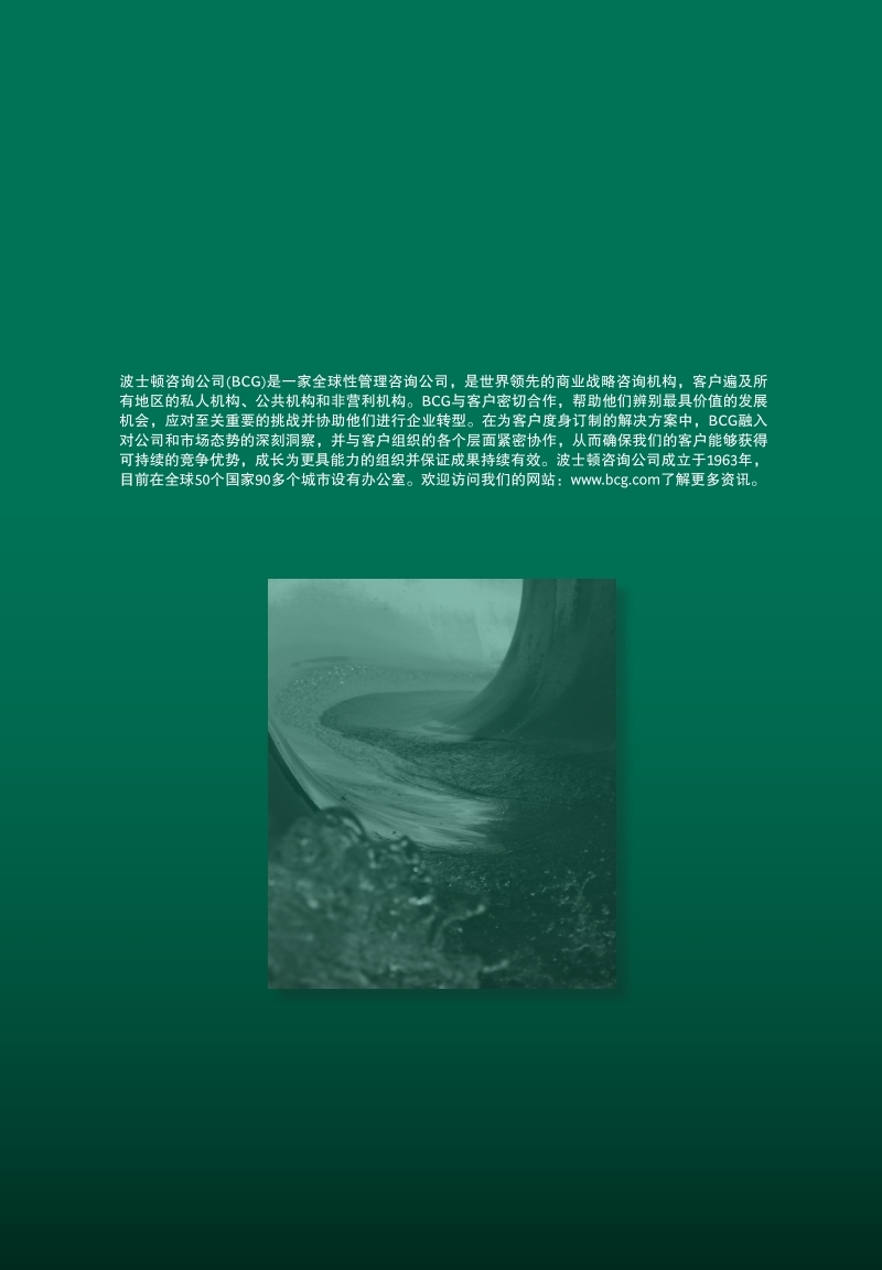 2018年全球风险报告.pdf_第2页