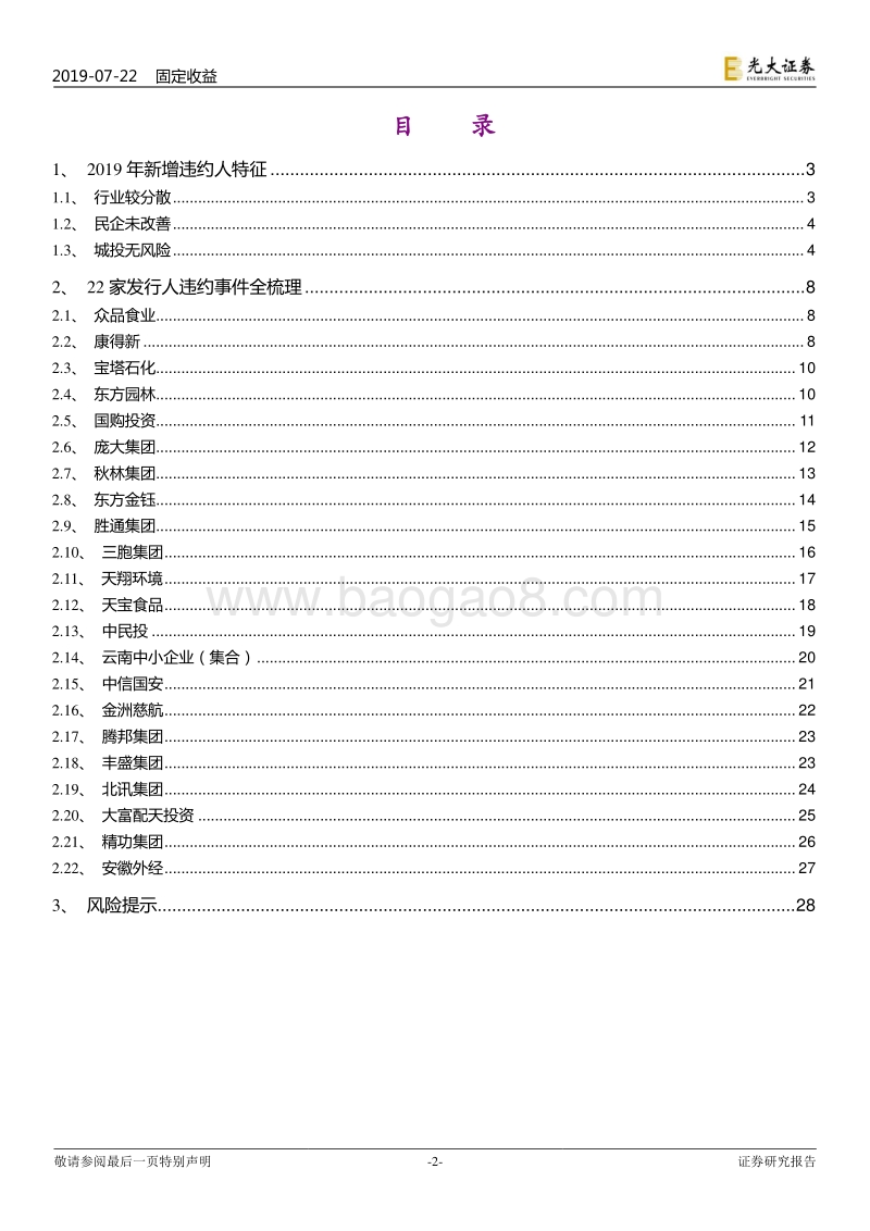 债券违约专题研究之七：2019年新增违约人的特征.pdf_第2页