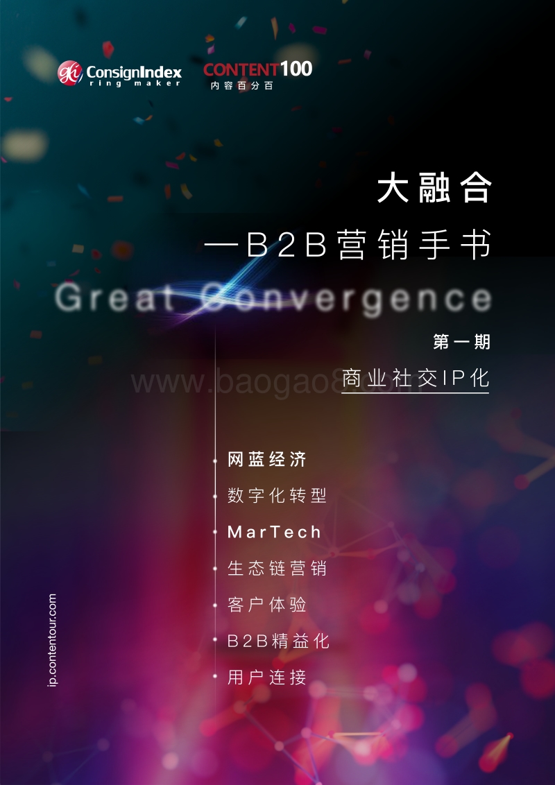 大融合B2B营销手书：商业社交IP化.pdf_第1页