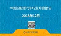 2018年12月中国新能源汽车行业月度报告.pdf