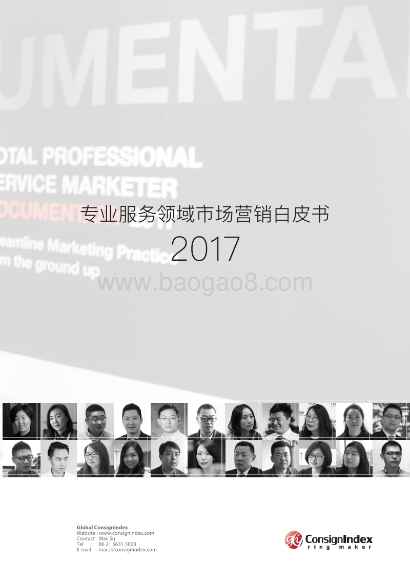 2017专业服务领域市场营销白皮书.pdf_第1页