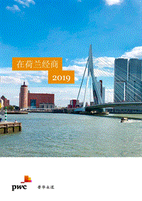 在荷兰经商2019.pdf