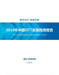 2019年中国OTT发展预测报告.pdf