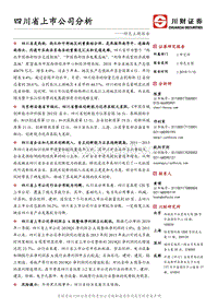 四川省上市公司分析.pdf