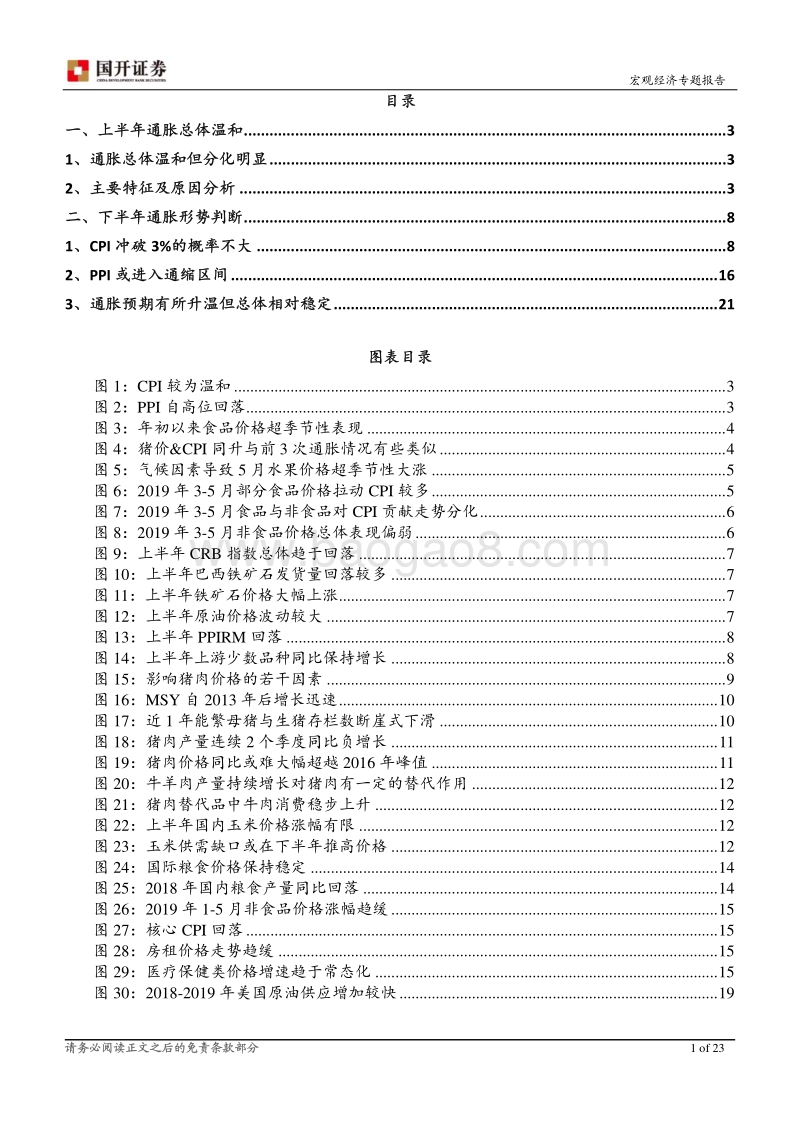 2019年下半年通胀形势展望：猪油共振难现通胀趋于回落.pdf_第2页