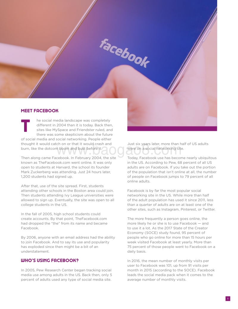 Facebook影响者营销指南（英文版）.pdf_第2页