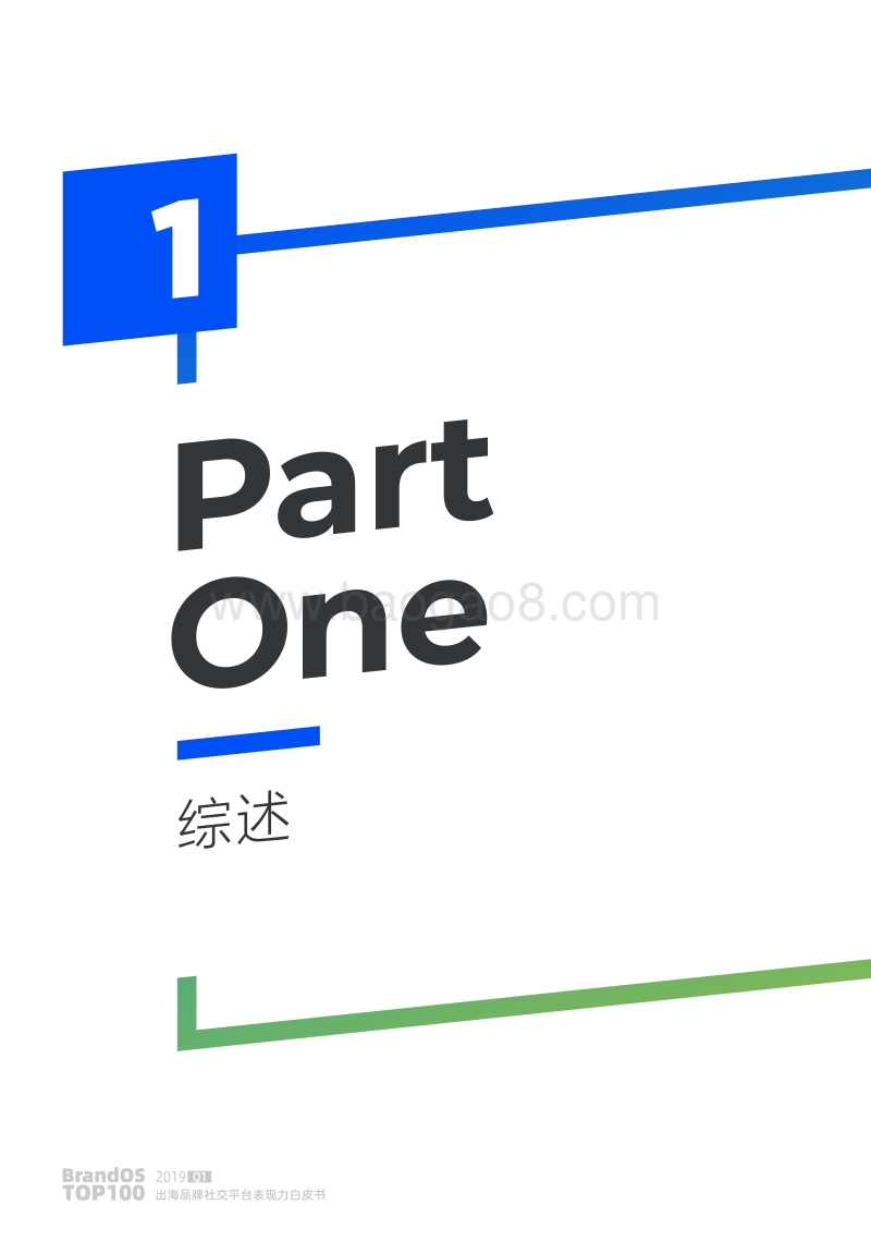 2019年Q1BrandOSTOP100出海品牌社交平台表现力白皮书.pdf_第3页