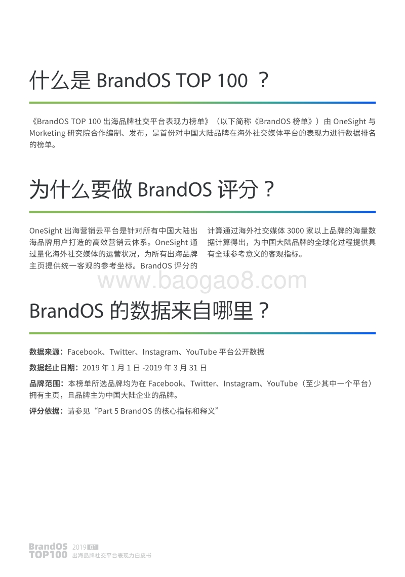 2019年Q1BrandOSTOP100出海品牌社交平台表现力白皮书.pdf_第4页