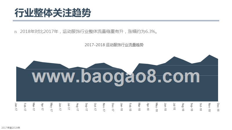 2019运动服饰行业研究报告.pptx_第3页