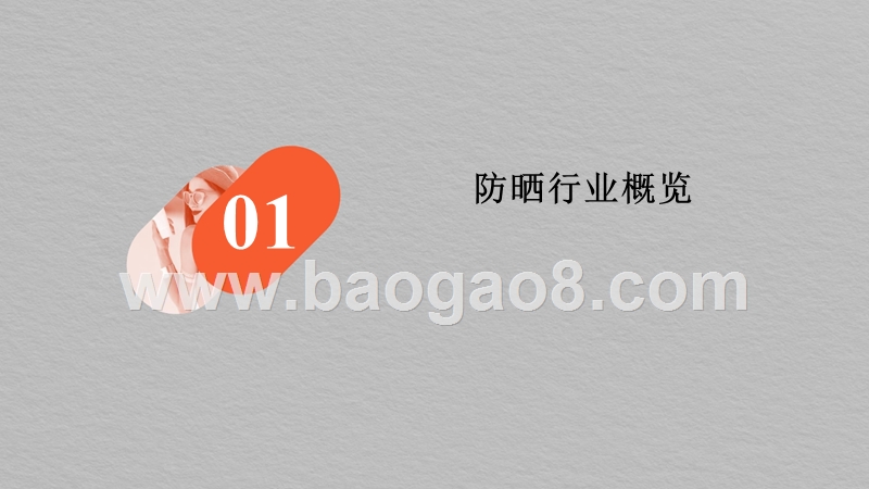 2019防晒品类趋势洞察报告.pptx_第2页