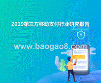 2019第三方移动支付行业研究报告.pptx