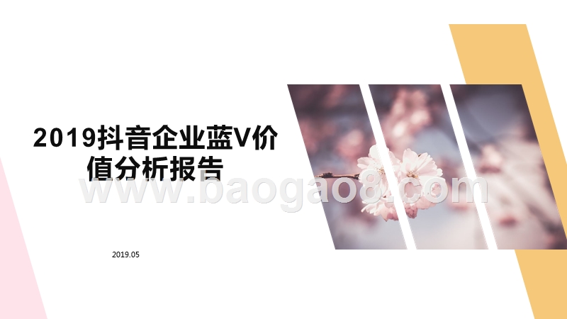 2019抖音企业蓝V价值分析报告.pptx_第1页