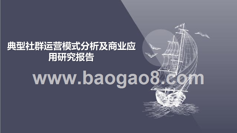 典型社群运营模式分析及商业应用研究报告.pptx_第1页