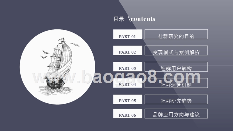 典型社群运营模式分析及商业应用研究报告.pptx_第2页