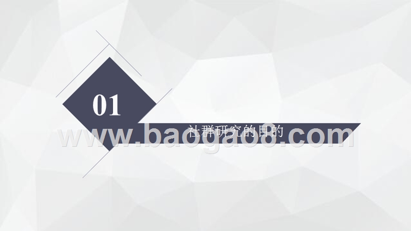 典型社群运营模式分析及商业应用研究报告.pptx_第3页