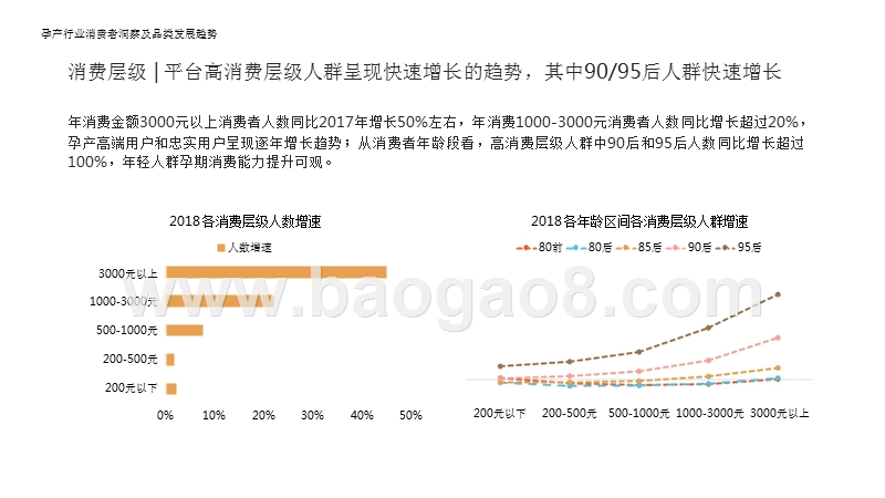 2019母婴孕产行业消费者洞察及品类发展趋势分析报告.pptx_第4页
