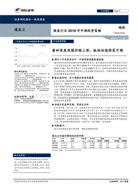 煤炭行业2019年中期投资策略：看好焦炭焦煤价格上涨，板块估值修复可期.pdf