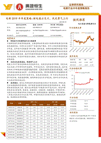 电新2019半年度策略：锂电拨云见日，风光景气上行.pdf