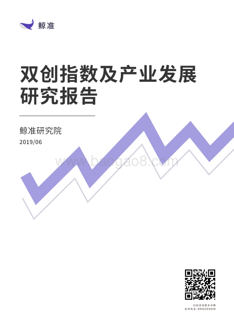 双创指数及产业发展研究报告.pdf_第1页