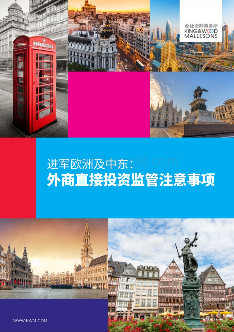 进军欧洲及中东：外商直接投资监管注意事项.pdf_第1页