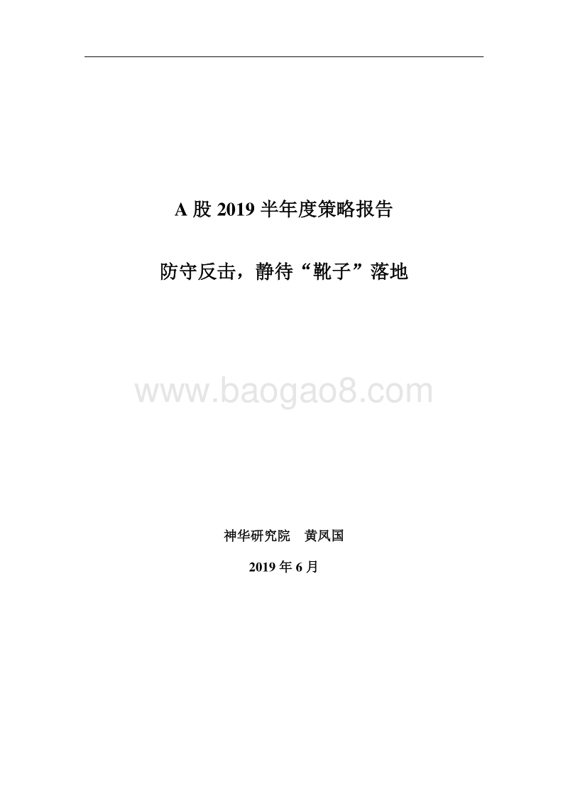 A股2019半年度策略报告：防守反击，静待“靴子”落地.pdf_第1页