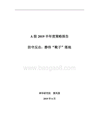 A股2019半年度策略报告：防守反击，静待“靴子”落地.pdf