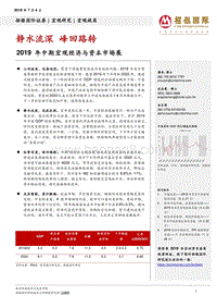 2019年中期宏观经济与资本市场展：静水流深，峰回路转.pdf