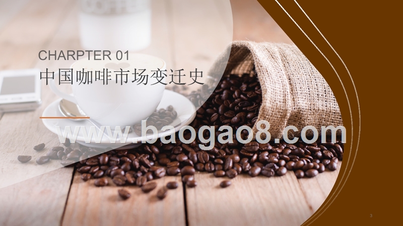2019中国咖啡消费进阶趋势研究报告.pptx_第3页