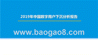2019年中国数字用户下沉分析报告.pptx