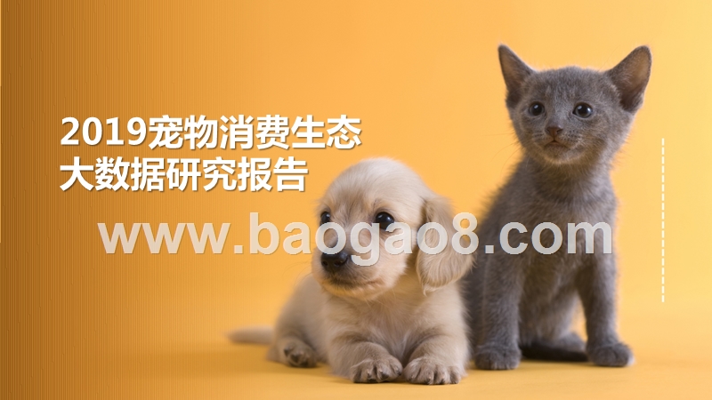 2019宠物消费生态大数据研究报告.pptx_第1页