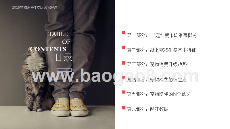 2019宠物消费生态大数据研究报告.pptx_第2页