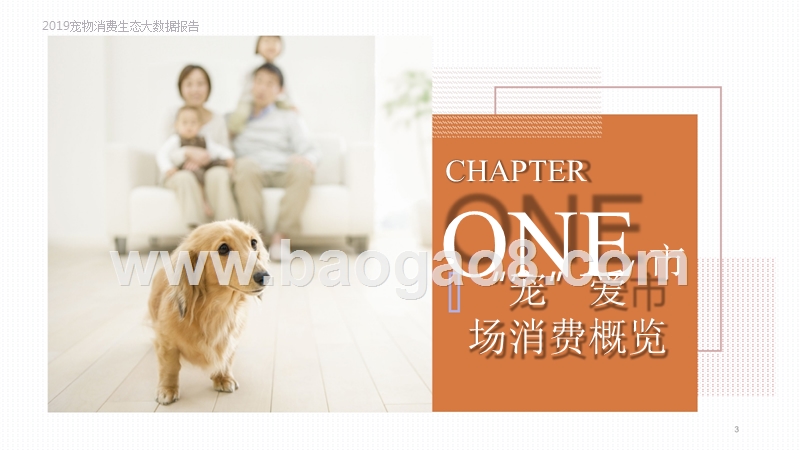 2019宠物消费生态大数据研究报告.pptx_第3页