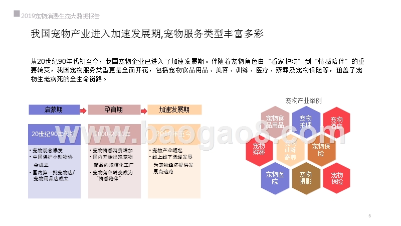 2019宠物消费生态大数据研究报告.pptx_第5页